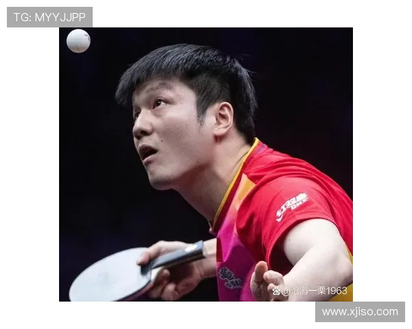 [乒乓球]樊振东：希望2025年自己有更好的表现.